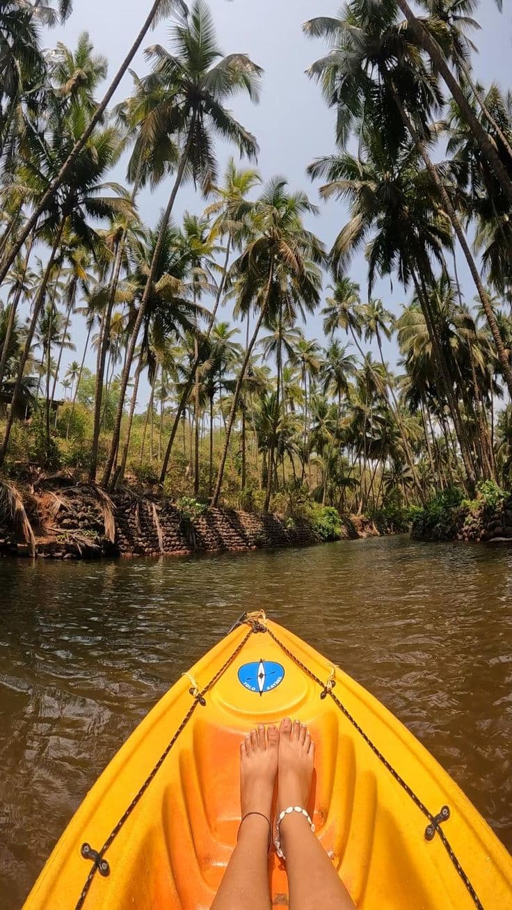 1-Hour Guided Kayaking