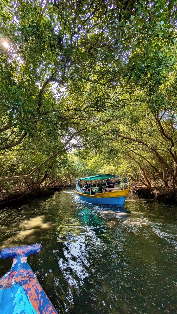 2-Hour Guided Kayaking